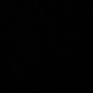 Meet your Posher, Antonio